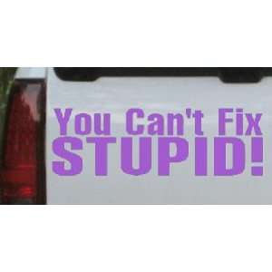 Purple 22in X 7.1in    You Cant Fix Stupid Funny Car Window Wall 
