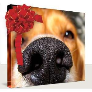  Your Pet Photo on Canvas, 8x10 Thin Gallery Wrap 