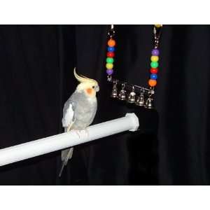  Ring my Bell Conure / Senegal Bird Toy (Sophomore) Pet 