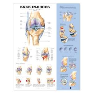 Knee Injuries   Paper  Industrial & Scientific