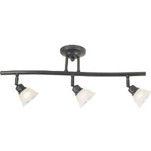 101 Track Light Lighting Collection Three Light Directional Track 