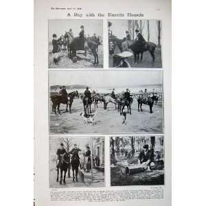  1908 Biarritz Hounds Hunting Sport Horses France Men