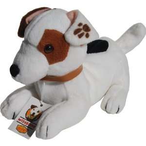  Laying Wishbone the Jack Russell Terrier Dog   Dennys 
