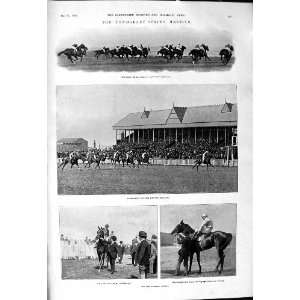 1901 Newmarket Horse Racing Veles Madden Handicapper Halsey Sievier 