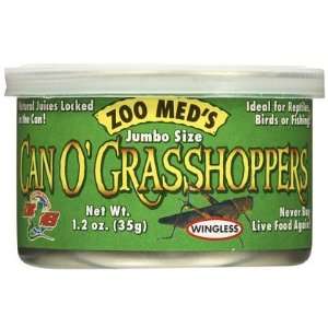  Can O Grasshoppers (Quantity of 4) Health & Personal 