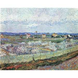 La Crau near Arles with blossoming peach trees by Van Gogh 