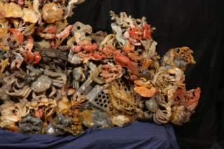   CARVED CORAL REEF FISHES CRABS CORAL SHRIMP CLAMS FISH TRAP  