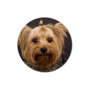 Yorkie puppy Round Rubber Coaster set 4 pack Great Gift Idea