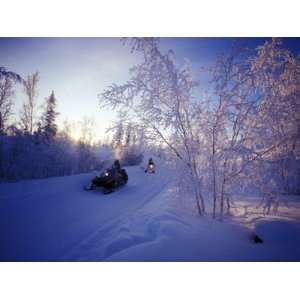 Snowmobilers at  40 Celsius. Trees Covered in Hoar Frost Stretched 