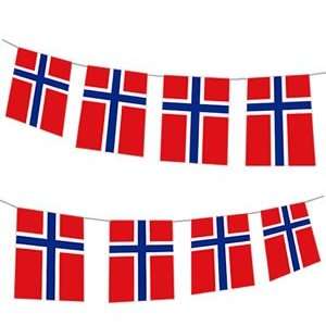  Just For Fun Flag Bunting (8Ft, Quality Paper)   Norway 