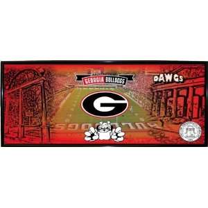   Georgia Bulldogs 9.5X21.5 Mini Photoramic