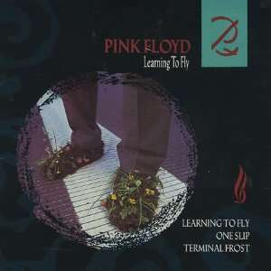  Learning To Fly   Pink Vinyl Pink Floyd Music