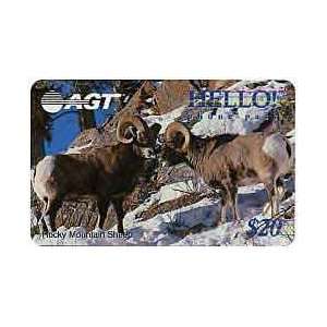   Phone Card $20. Hello Rocky Mountain Sheep 