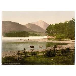   study, Lake District, England. Photochrom (also called the Aäc p