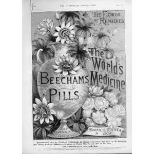   Flower Of Remedies Antique Advertisment Beecham Pills