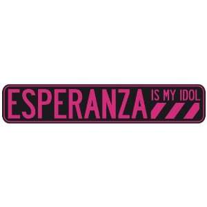   ESPERANZA IS MY IDOL  STREET SIGN