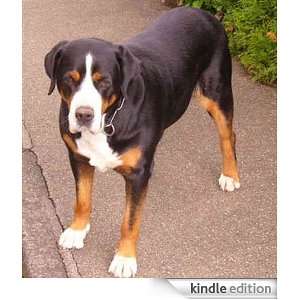 Dog   Animal Kingdom App Book Shop  Kindle Store
