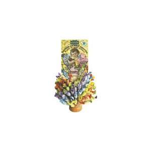 Barnier Barnier Caramel Lollipops (Economy Case Pack) (Pack of 200 