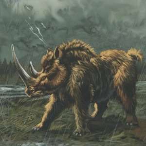  Woolly Rhinoceros (Coelodonta Antiquitatis) in Rain 