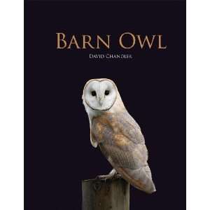  Barn Owl [Hardcover] David Chandler Books