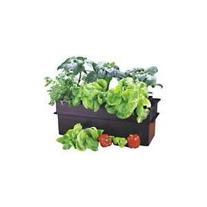  Baby Bloomer Hydroponic Kit 