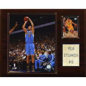 NBA Peja Stojakovic New Orleans Hornets Player Plaque  