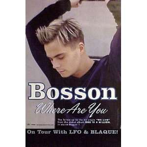  BOSSON Where Are You 15x23 Poster 