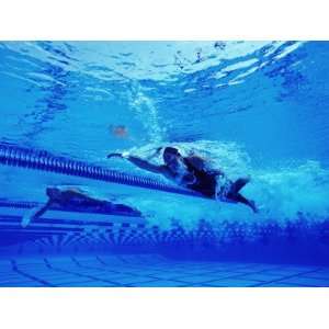 Female Swimmers Doing Front Crawl in Marked Lanes, Underwater 