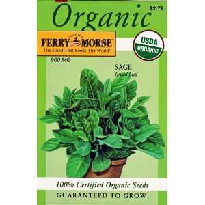  Ferry Morse 3118 Organic Sage Seeds, Broad Leaf (960 