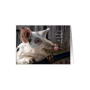   Birthday Card, Age 7   Animal Domestic Pig Hog Farm Card Toys & Games