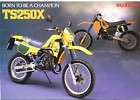 Suzuki TS250X Sales Brochure TS 250X RARE