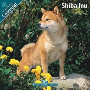  Shiba Inu 2010 Wall Calendar 12 X 12