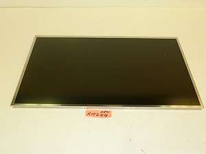 Dell Precision M6400 WUXGA RGB LED LCD Screen Panel P/N RM244  