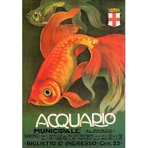  AQUARIUM ACQUARIO MUNICIPALE RED FISH ITALY ITALIA SMALL 