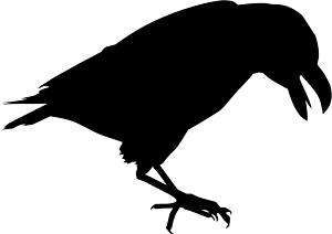 Crow Raven Decal 3.75x5.3 choose color  