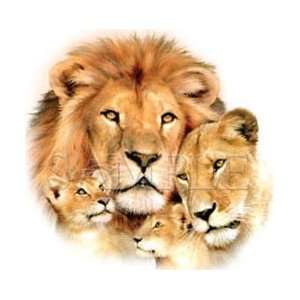  T shirts Animals Wildlife Lion Pride L 