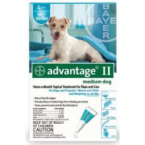  4 MONTH Advantage II Flea Control Medium Dog (for Dogs 11 