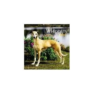  Whippets 2010 Wall Calendar