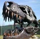 Tyrannosau​rus Rex T Rex Dinosaur Bronze LIFE SIZE 50 S