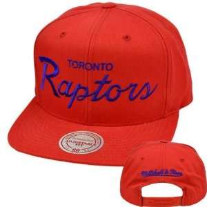   Solid Script Snapback Hat Cap NZ926 Toronto Raptors