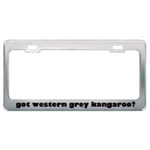 Got Western Grey Kangaroo? Animals Pets Metal License Plate Frame 