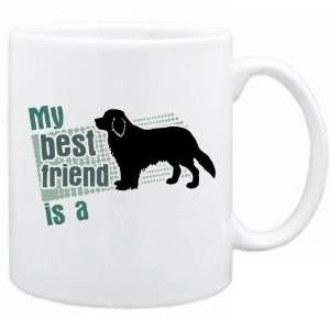  New  My Best Friend Is A Clumber Spaniel  Mug Dog