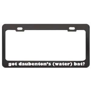 Got DaubentonS (Water) Bat? Animals Pets Black Metal License Plate 