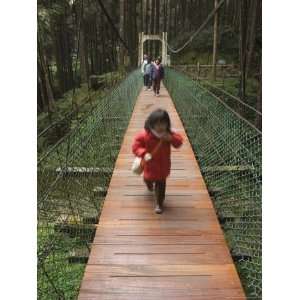  Girl on Rope Bridge in Cedar Forest, Alishan National 
