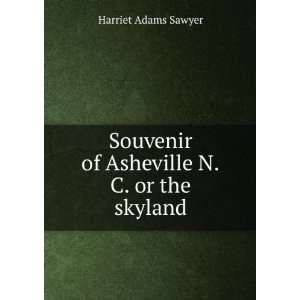   Souvenir of Asheville N.C. or the skyland Harriet Adams Sawyer Books