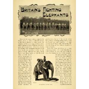  1901 Article India Military Elephants War Paint H.J 