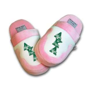  Alpha Kappa Alpha Slippers