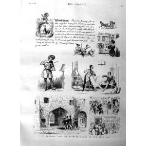    1885 Illustration Journal Richard Doyle Story Print