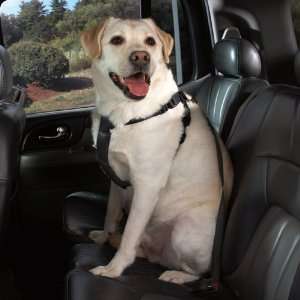  BLACK   LARGE   The Cruising Companion Car Harness