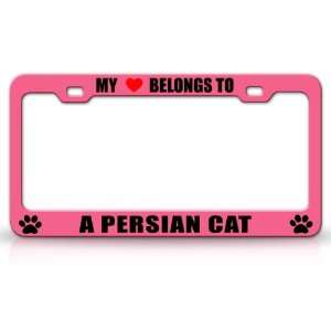 MY HEART BELONGS TO A PERSIAN Cat Pet Auto License Plate 